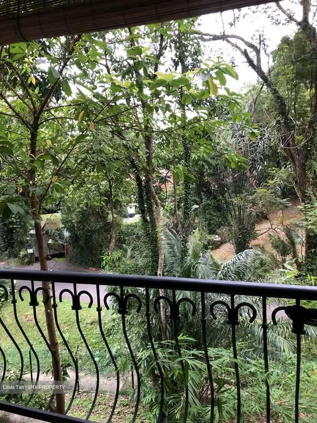 Tanglin Park (D10), Condominium #543588801